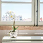 Cosy Appartamento