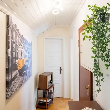 Cosy * Лиссабон