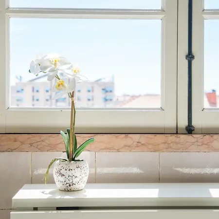 Cosy Apartment