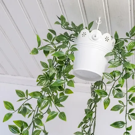 Cosy Апартаменты *